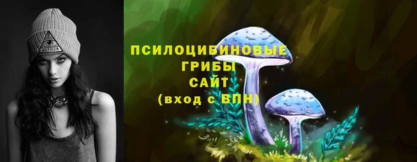 дживик Алзамай