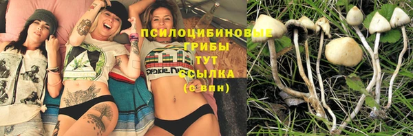 герыч Алексин